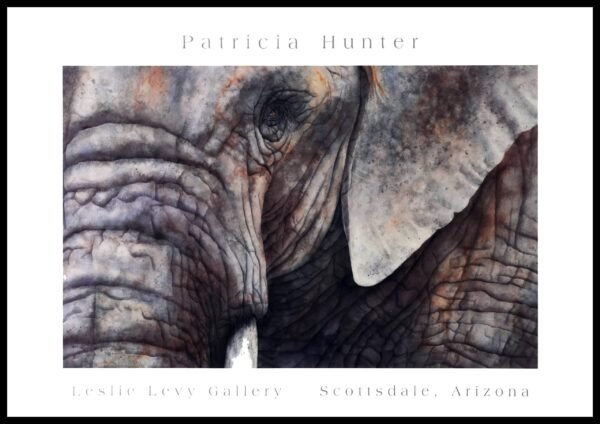 LLF99327 Elephant Face